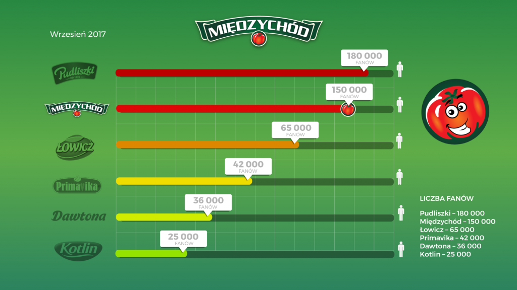 miedzychod case study