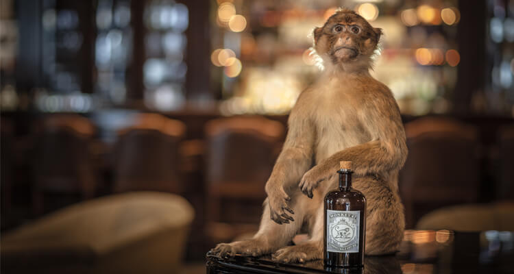 retro marketing monkey gin alkohol adstone wordpress cms design vintage